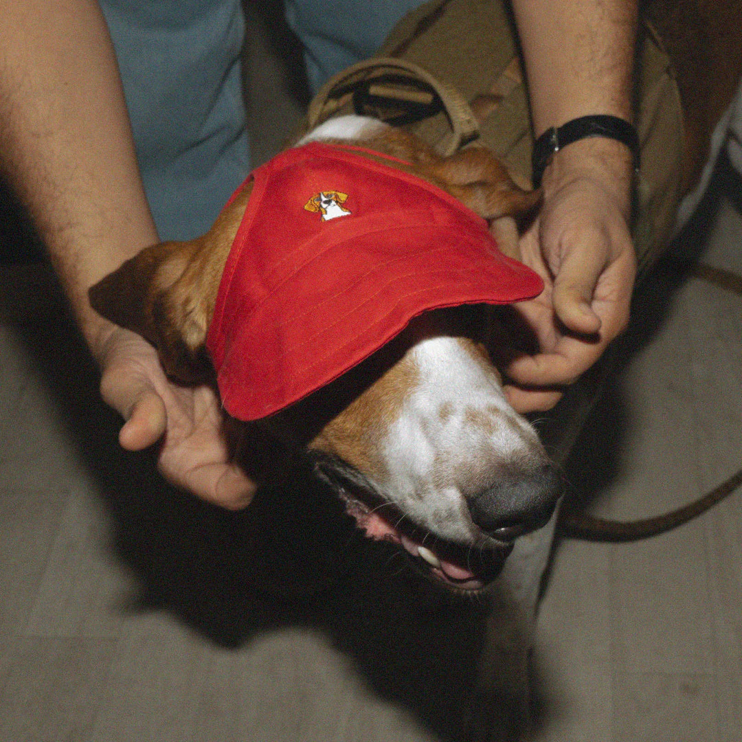 LPMADM - Red Dog Hat - Image 3