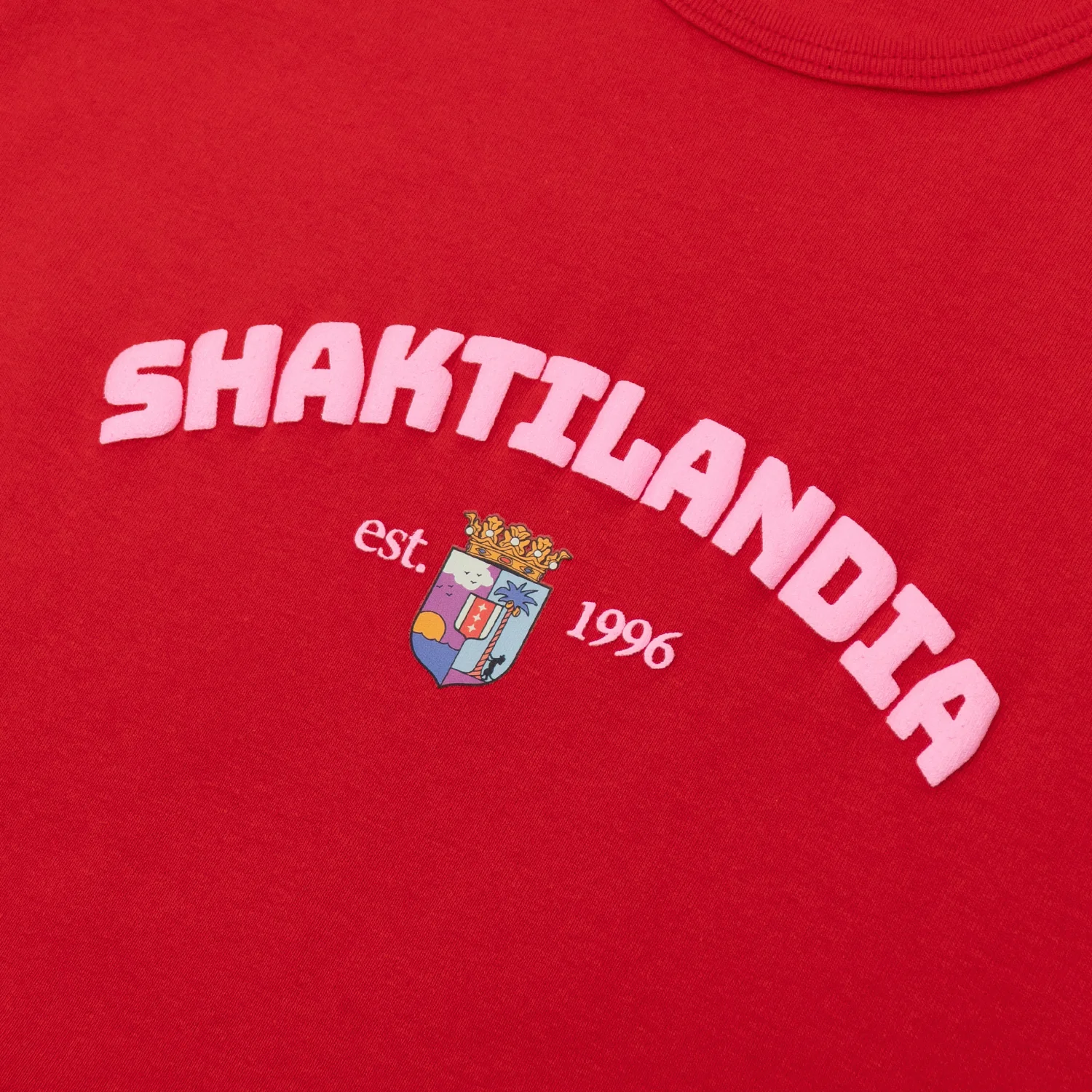 LPMADM - Shaktilandia Crop Tee - Image 4