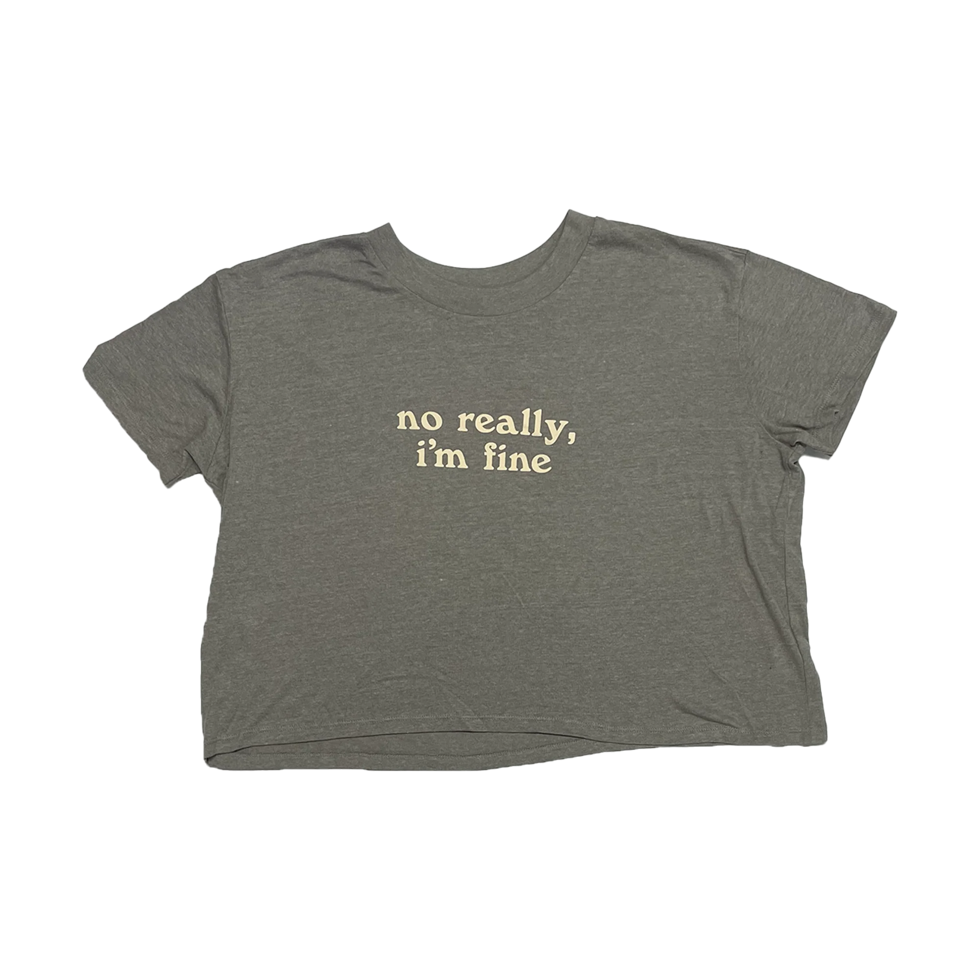 The Spill Canvas - NRIF Crop Top (Light Grey)
