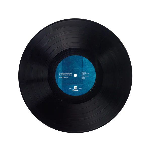 The World Is A Beautiful Place & I Am No Longer Afraid To Die - Dreams of Being Dust Black LP - Image 2